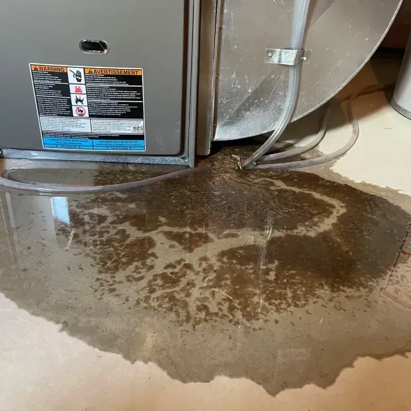 Appliance Leak Cleanup in Lake City, MI